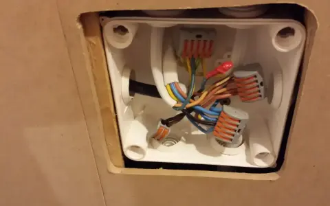 Instalacja elektryczna w puszce: jak rozdzielić kabel elektryczny na dwa za pomocą złączek.