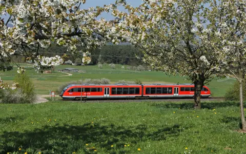 Czerwony pociąg REGIO mija kwitnące drzewa. Może to pociąg do Budapesztu?