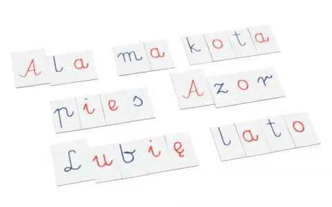 Karty z pisane litery polskie: Ala ma kota, pies, Azor, lubię lato.