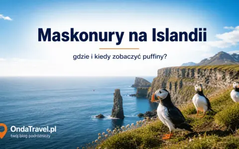 Maskonury na Islandii: zobacz, gdzie żyje ten uroczy ptak i kiedy najlepiej go obserwować na klifach.