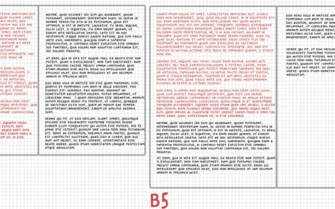 Dos columnas de texto manuscrito, una más ancha que la otra, comparando tamaño B6 vs A5.
