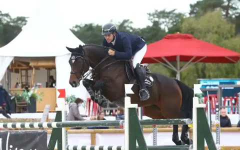 Cavalier et cheval sautant un obstacle lors des jeux équestres mondiaux.