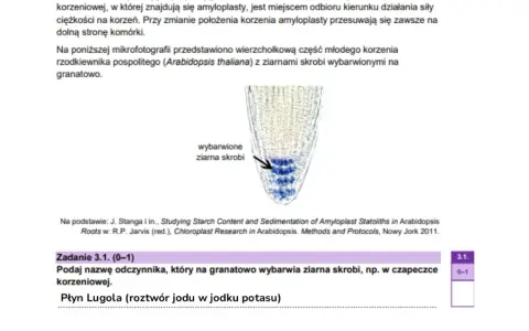 Ile punktów na maturze z biologii? Odkryj, jak je zdobyć!