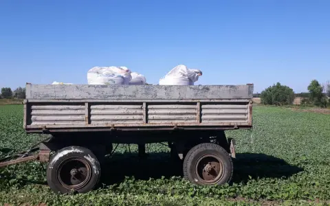 Ile nawozów mineralnych na hektar? Sprawdź, jak zmniejszyć koszty.