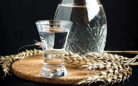 Klares Glas mit Wodka, daneben eine Karaffe und Ähren. Die Zutaten für die Wodka Herstellung sind sichtbar.