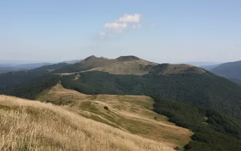 Połonina Wetlińska wznosi się ku niebu, oferując widok na łagodne, trawiaste wzgórza i gęste lasy.
