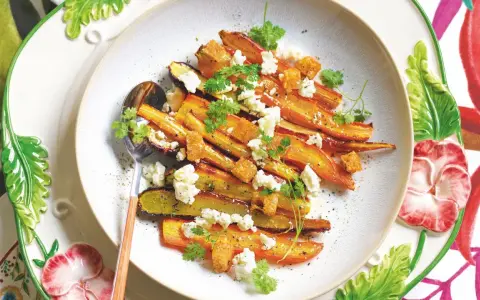 Gastronomia Veg Italiana: Guida, Ricette e Ristoranti Veg