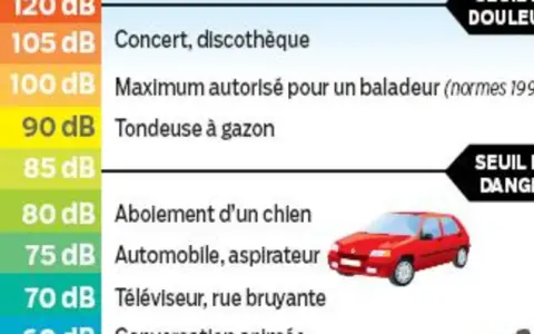Échelle de db : 90 db pour une tondeuse, 80 db pour un chien qui aboie, 75 db pour une voiture. Le seuil de danger est atteint.
