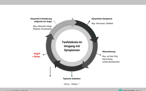 Teufelskreis: Angst führt zu körperlichen Symptomen, die wahrgenommen werden. Das verstärkt die Angst, man fühlt sich krank durch Stress.