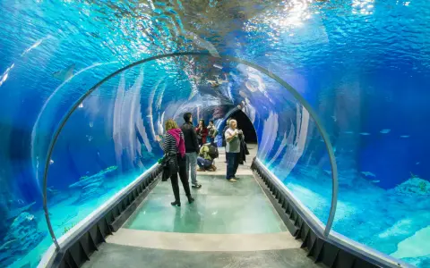 Afrykarium a oceanarium: Nie są synonimami! Poznaj różnice