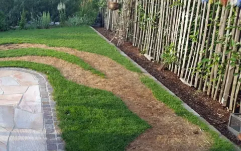Braune Flecken im Rasen deuten auf zu viel Stickstoff hin. Der Rasen ist ungleichmäßig grün und braun, mit einem Steinweg daneben.