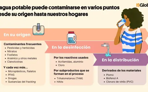Infografía sobre los principales contaminantes del agua: origen, desinfección y distribución. Incluye pesticidas, metales, microplásticos, cloro y plomo.