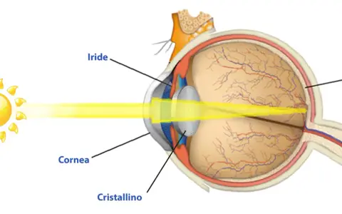 Diagramma occhio umano: luce solare entra da cornea, cristallino, iride, focalizza sulla retina. Quanti megapixel ha l'occhio umano?