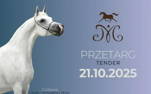 Stadnina Nowe Jankowice przetarg: Cała na sprzedaż? Sprawdź!