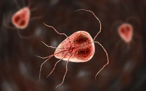 Mikroskopijny obraz pasożyta Giardia, który może powodować problemy zdrowotne u kotów.