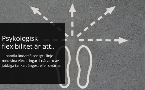 Psykologisk flexibilitet är att agera i linje med värderingar, trots jobbiga tankar. Bilden visar pilar som symboliserar valmöjligheter.