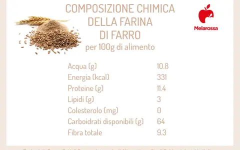 Composizione chimica della farina di farro per 100g: 10.8g acqua, 331 kcal energia, 11.4g proteine, 3g lipidi, 0mg colesterolo, 64g carboidrati, 9.3g fibra.