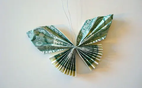 Schmetterling aus gefalteten Geldscheinen, kunstvoll arrangiert. Die feinen Knicke der Geldscheine formen zarte Flügel.