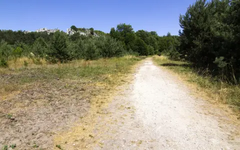 Droga przez las prowadzi do skalistych wzniesień. To ścieżka w centrum dziedzictwa przyrodniczego i kulturowego Jury.