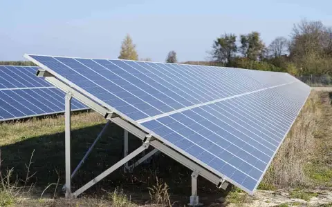 Duża instalacja PV na polu, panele słoneczne ustawione pod kątem, w tle drzewa i błękitne niebo.