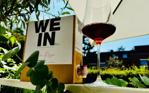 Ein Glas Rotwein steht neben einem Karton mit der Aufschrift "WE IN Box". Der Wein im Karton ist eine praktische Alternative zur Flasche.