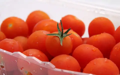 Soczyste pomidorki koktajlowe w plastikowym opakowaniu. Dowiedz się, jak przechowywać pomidory w domu, by zachowały świeżość.