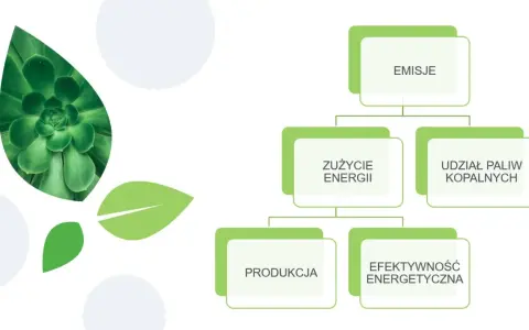 Schemat przedstawia czynniki wpływające na emisje, takie jak zużycie energii, udział paliw kopalnych, produkcja i efektywność energetyczna. Zielone liście symbolizują ekologię i redukcję co2.