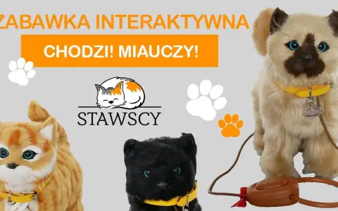 Gdzie kotek ma? Odkryj radość i zabawę w tej interaktywnej książce
