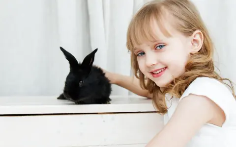 Uśmiechnięta dziewczynka z niebieskimi oczami głaszcze czarnego królika. Który ssak się nie poci? Królik, jak każdy ssak, poci się, ale inaczej niż ludzie.
