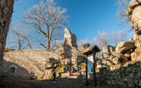 Ruiny zamku Bolczów w słoneczny dzień. Kamienne mury, skalne formacje i nagie drzewa tworzą malowniczy krajobraz.