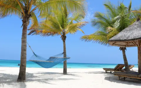 Błękitna hamak między palmami na piaszczystej plaży, z leżakami i oceanem w tle. Idealne miejsce na relaks w Zanzibarze.