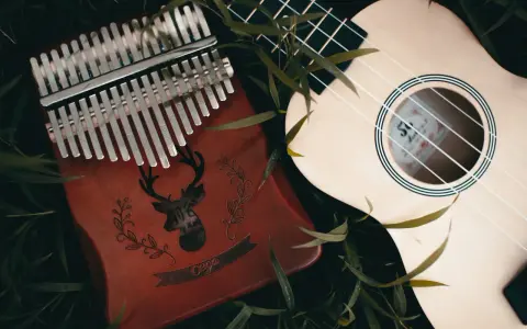 Kalimba 17 blaszek jak grać? Instrumenty muzyczne leżą wśród zieleni.