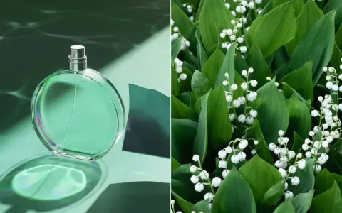 Zielona butelka perfum konwaliowych na tle wodnych refleksów i bujnych, zielonych liści z białymi dzwoneczkami konwalii.