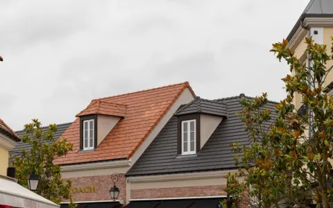 Toits de bâtiments avec différents types de tuiles : une toiture en tuiles d'argile orangées et une autre en tuiles d'ardoise grises.