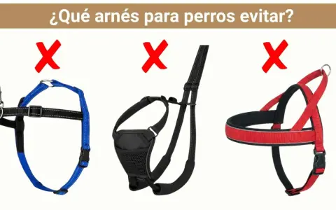 Tres tipos de arneses para perros marcados con X roja. El azul es un arnés de pecho, el negro parece un arnés de paseo, y el rojo es un arnés de entrenamiento.