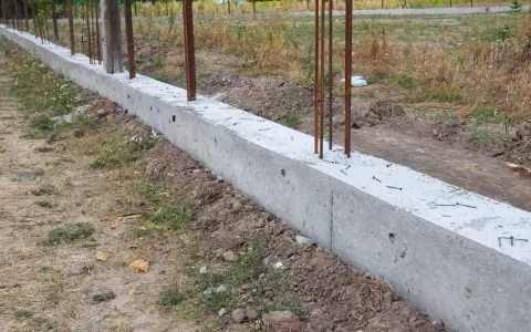 Zbrojony fundament czeka na wylewanie betonu. Widać stalowe pręty wystające z betonowej ławy fundamentowej.