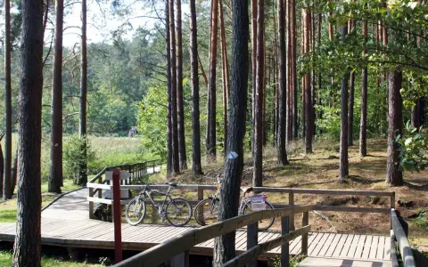 Dwie rowery czekają na przygodę na drewnianej kładce. Trasa rowerowa Roztocze zaprasza do odkrywania leśnych zakątków.