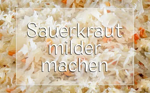 Sauerkraut zu sauer? Hier erfährst du, wie du es milder machst. Nahaufnahme von Sauerkraut mit Karottenstückchen.