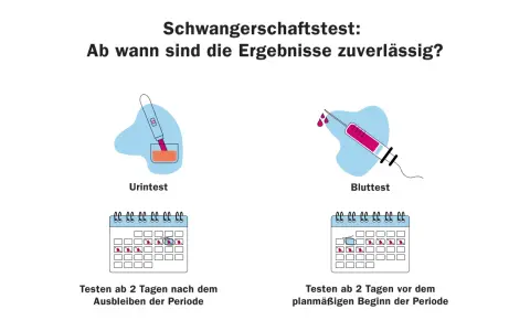 Wann Schwangerschaftstest? Urintest ab 2 Tage nach Ausbleiben der Periode, Bluttest ab 2 Tage vor dem geplanten Beginn.