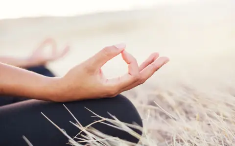 En hand i mudra-position under aum meditation, omgiven av torrt gräs.