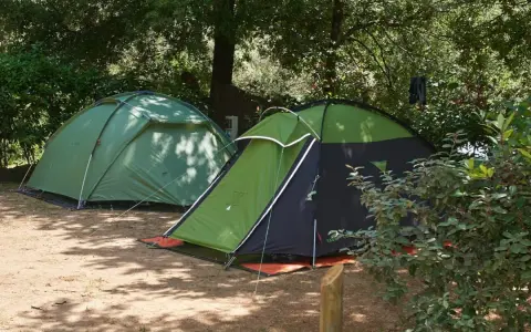 Dwie zielone namioty na piaszczystym podłożu, otoczone drzewami. Idealne miejsce na korsyka camping.