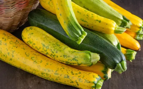Frische, bunte Zucchini liegen neben einem Korb. Perfekt, um sie roh zu essen und den Sommer zu genießen.