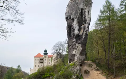 Skała na szlaku Orlich Gniazd, zamek w tle.