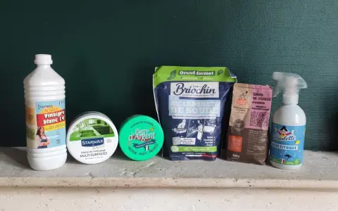 Vinaigre blanc, bicarbonate de soude, pierre d'argent, soude en cristaux et acide citrique : des produits pour dissoudre le calcaire et nettoyer la maison.