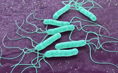 Helicobacter pylori w ustach: 7 objawów, których nie znasz