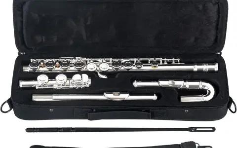 Étui ouvert noir contenant un instrument à vent argenté, une flûte traversière, ses pièces et accessoires de nettoyage.