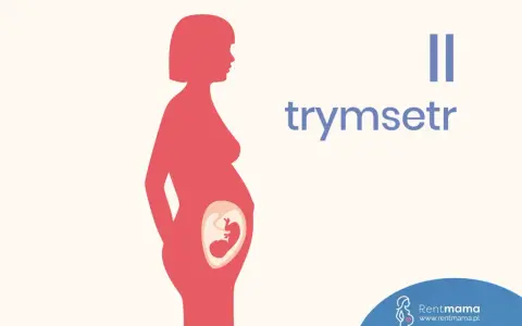 Sylwetka kobiety w ciąży z widocznym płodem. Napis "II trymestr" informuje o tym etapie.