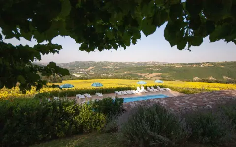 Piscina e lettini con vista su un campo di girasoli, tipici degli agriturismi nelle colline marchigiane.
