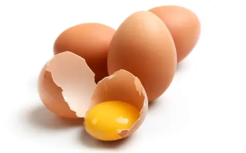 Huevos marrones, uno roto mostrando la yema brillante. ¡Un manjar que los perros pueden comer!