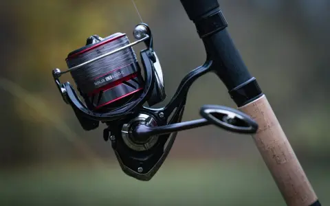 Czarne, nowoczesne detale budowy kołowrotka wędkarskiego Daiwa Ninja LT 4000-C z szarą żyłką i korkową rękojeścią.